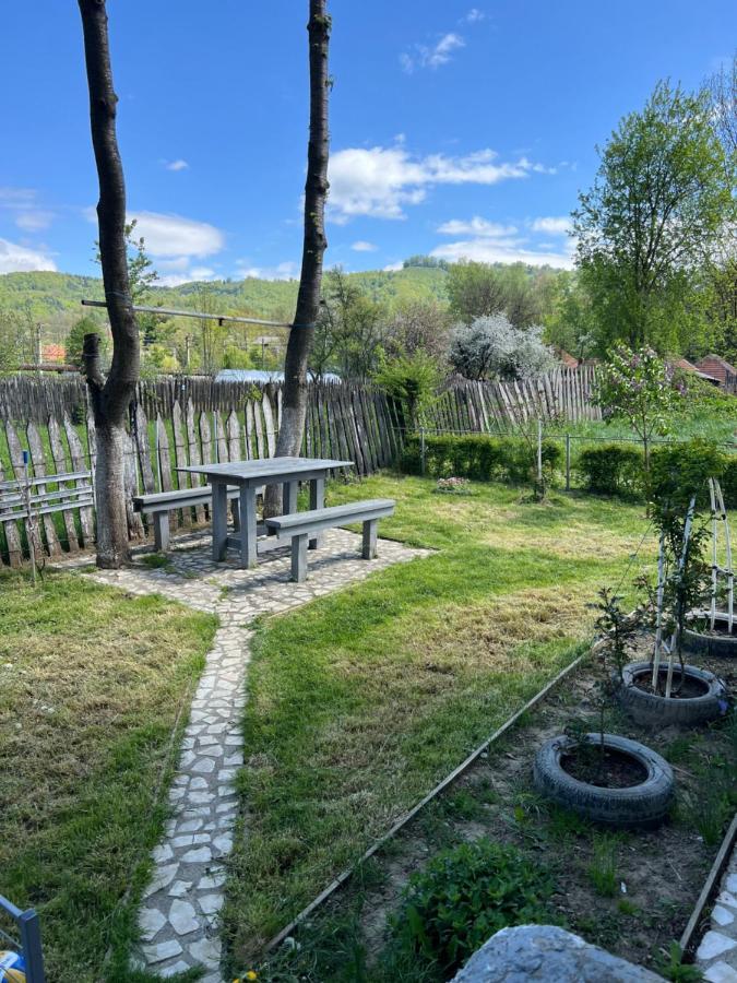 Green Garden Petroşani Εξωτερικό φωτογραφία